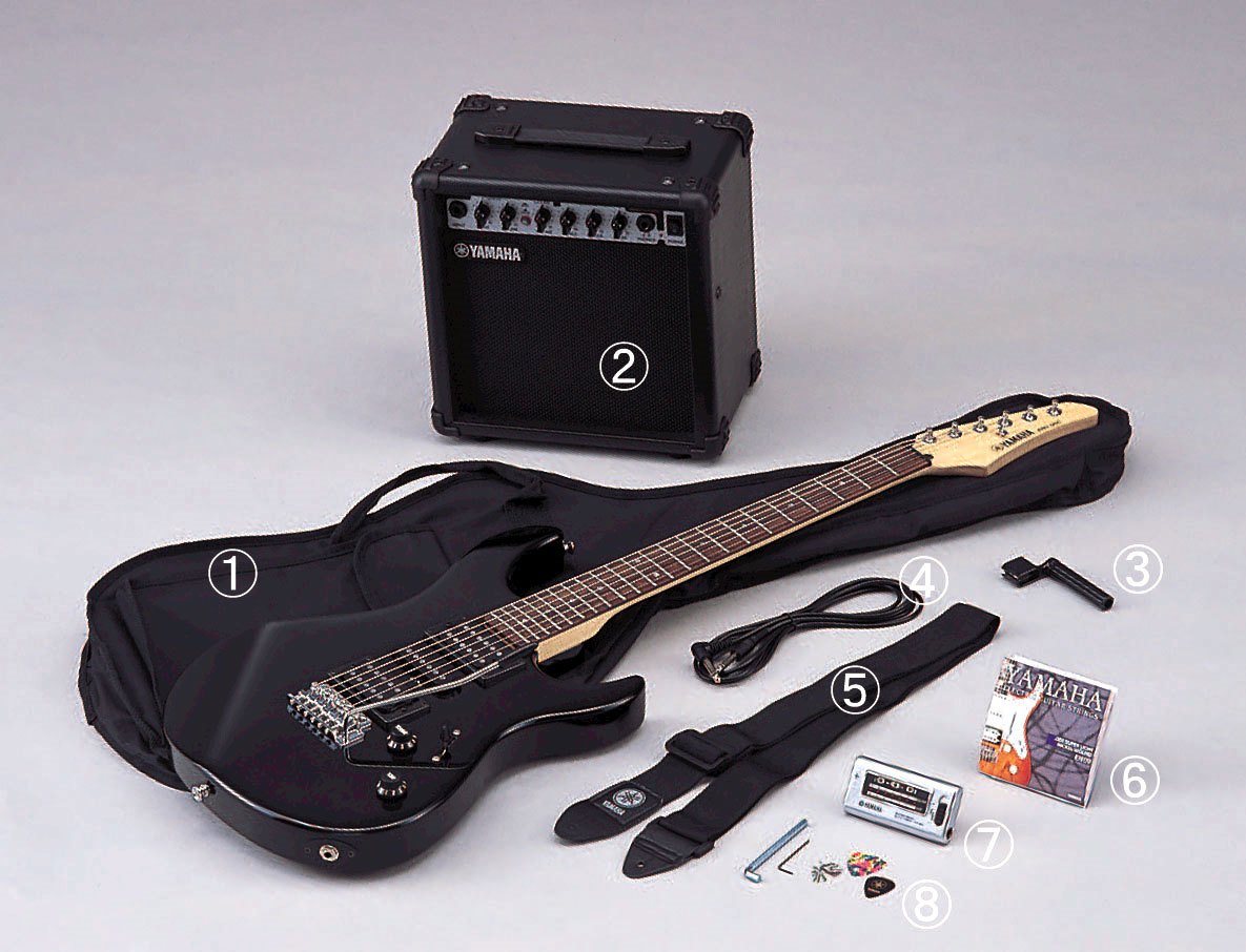 Pack Guitarra Electrica ERG121GPIIHII